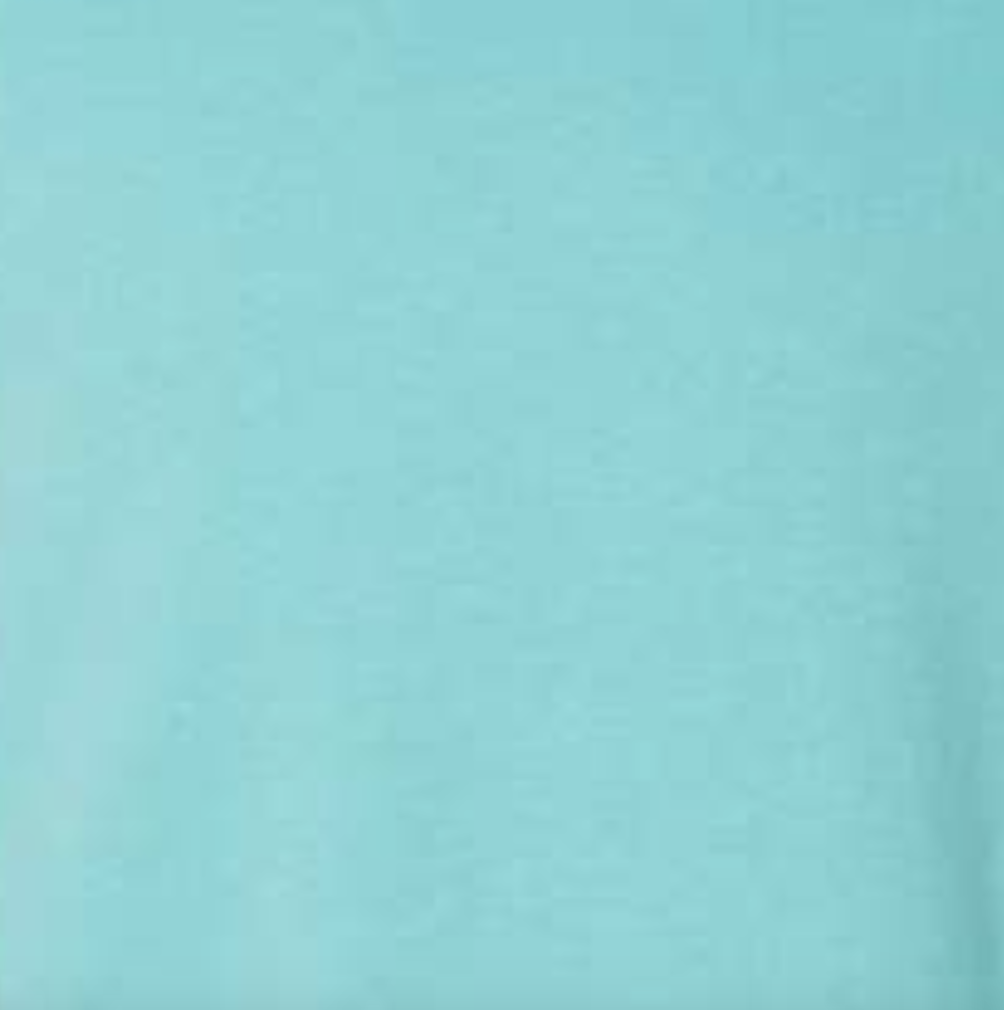 Loser Apparel Crewneck - Aqua - Image 7